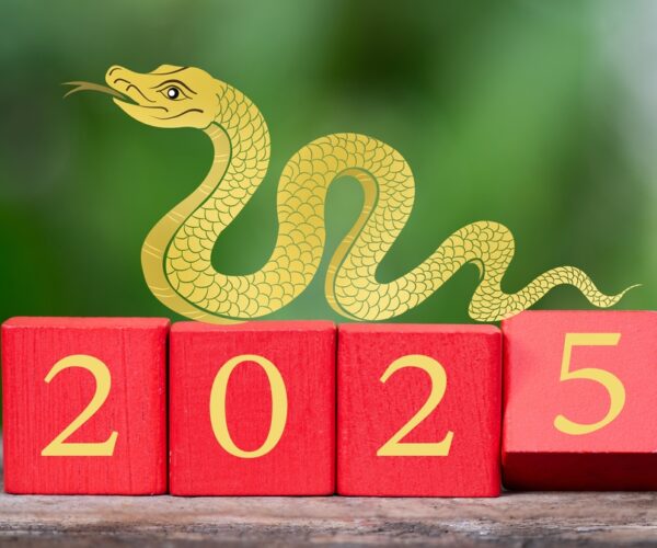 Cayman Celebrates the Lunar New Year 2025